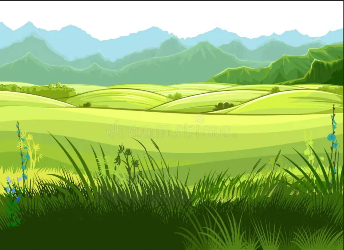 Plant diversity image 6